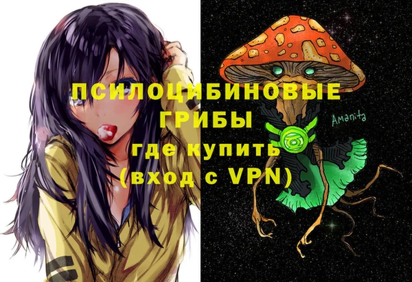 прущие крисы Осинники
