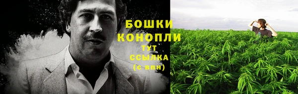 гидра Алзамай