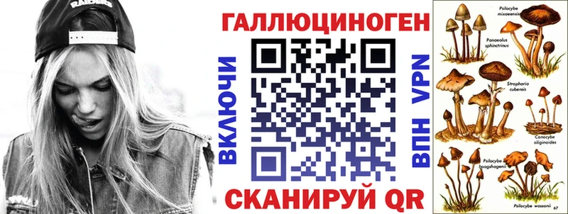 Псилоцибиновые грибы Psilocybe Слободской