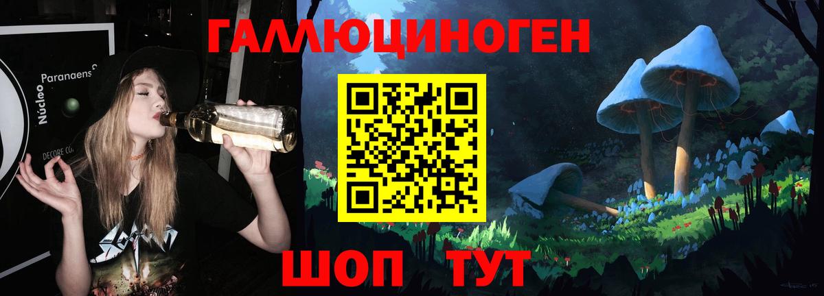 Слободской  Галлюциногенные грибы Psilocybine cubensis  Вход с VPN 