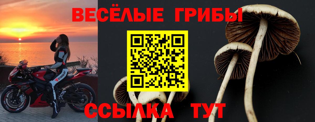 Галлюциногенные грибы MAGIC MUSHROOMS Слободской
